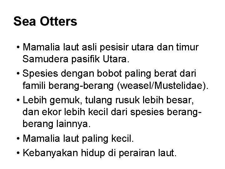 Sea Otters • Mamalia laut asli pesisir utara dan timur Samudera pasifik Utara. •