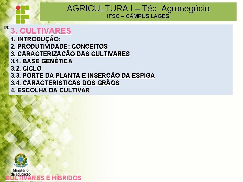 AGRICULTURA I – Téc. Agronegócio IFSC – C MPUS LAGES 3. CULTIVARES CULTURA DO