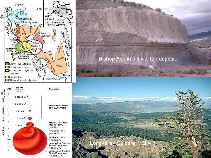 Bishop Ash in alluvial fan deposit. Longvalley Caldera: VEI = 7. 