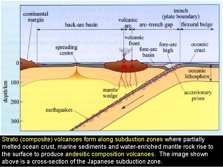 Strato (composite) volcanoes form along subduction zones where partially melted ocean crust, marine sediments