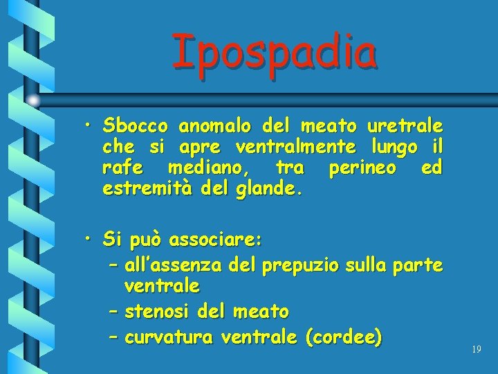 Ipospadia • Sbocco anomalo del meato uretrale che si apre ventralmente lungo il rafe