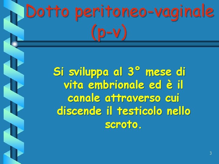 Dotto peritoneo-vaginale (p-v) Si sviluppa al 3° mese di vita embrionale ed è il