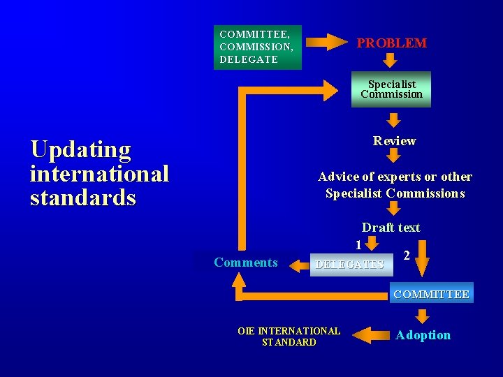 COMMITTEE, COMMISSION, DELEGATE PROBLEM Specialist Commission Review Updating international standards Advice of experts or