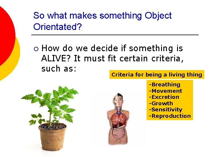 So what makes something Object Orientated? ¡ How do we decide if something is