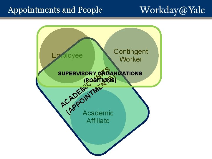 Appointments and People Employee Contingent Worker S SUPERVISORY ORGANIZATIONS T I ) N S
