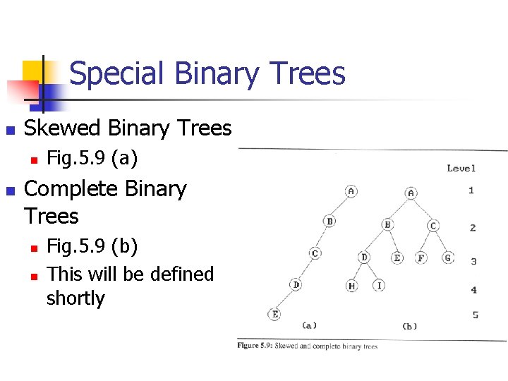 Special Binary Trees n Skewed Binary Trees n n Fig. 5. 9 (a) Complete