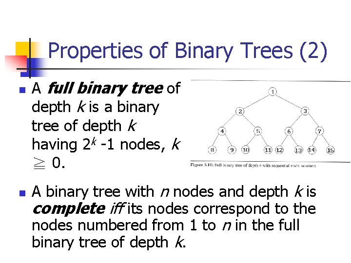 Properties of Binary Trees (2) n n A full binary tree of depth k