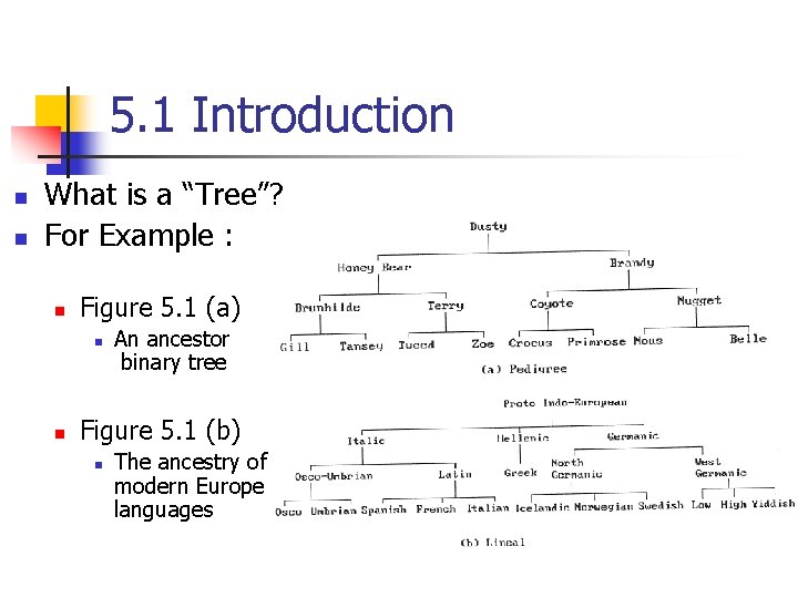 5. 1 Introduction n n What is a “Tree”? For Example : n Figure