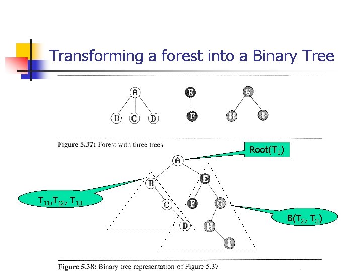 Transforming a forest into a Binary Tree Root(T 1) T 11, T 12, T