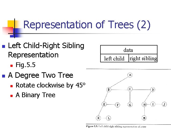 Representation of Trees (2) n Left Child-Right Sibling Representation n n Fig. 5. 5
