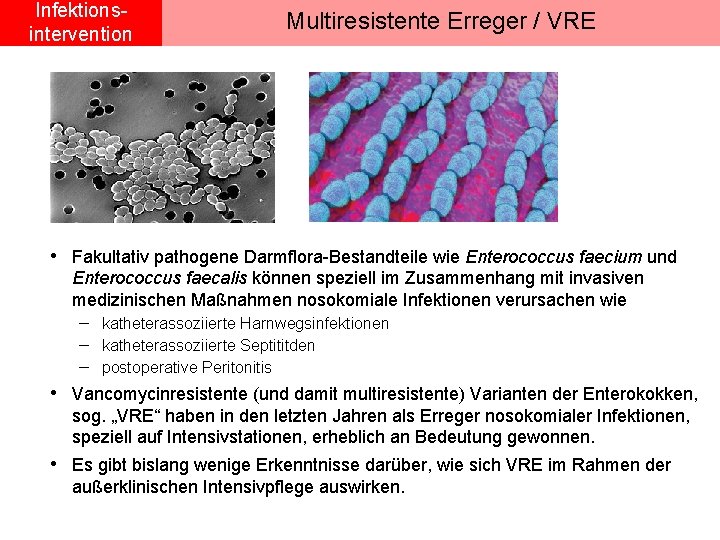 Infektionsintervention Multiresistente Erreger / VRE • Fakultativ pathogene Darmflora-Bestandteile wie Enterococcus faecium und Enterococcus