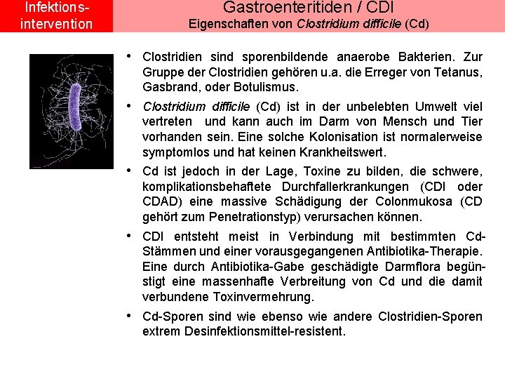Infektionsintervention Gastroenteritiden / CDI Eigenschaften von Clostridium difficile (Cd) • Clostridien sind sporenbildende anaerobe