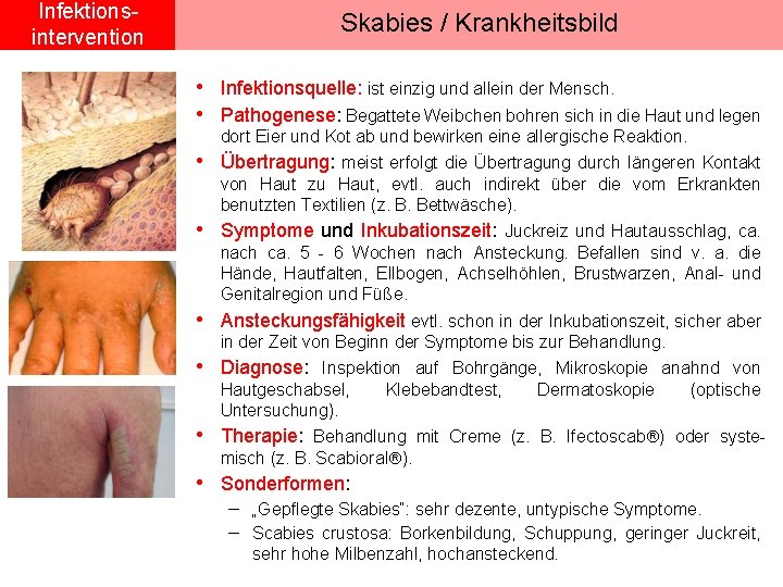 Infektionsintervention Skabies / Krankheitsbild • Infektionsquelle: ist einzig und allein der Mensch. • Pathogenese: