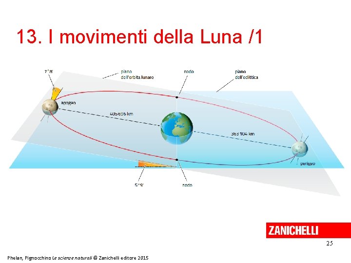 13. I movimenti della Luna /1 25 Phelan, Pignocchino Le scienze naturali © Zanichelli