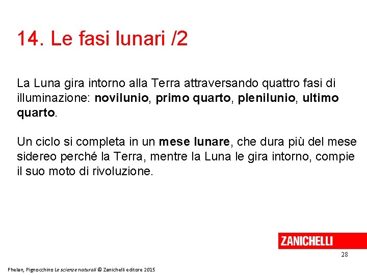 14. Le fasi lunari /2 La Luna gira intorno alla Terra attraversando quattro fasi