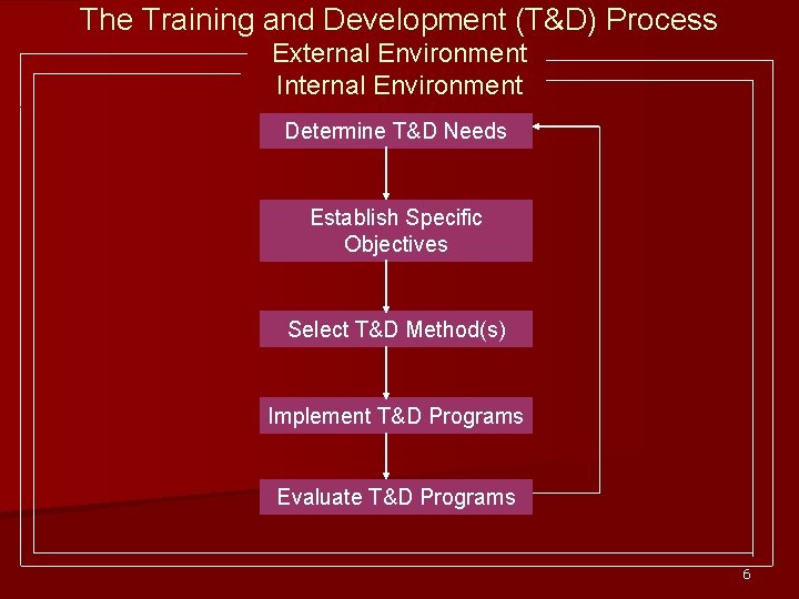 The Training and Development (T&D) Process External Environment Internal Environment Determine T&D Needs Establish