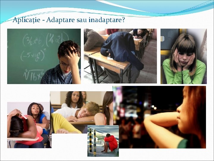 Aplicație - Adaptare sau inadaptare? 