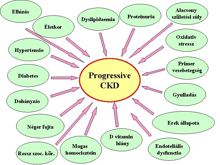 Elhízás Dyslipidaemia Proteinuria Alacsony születési súly Életkor Oxidativ stressz Hypertensio Diabetes Progressive CKD Primer