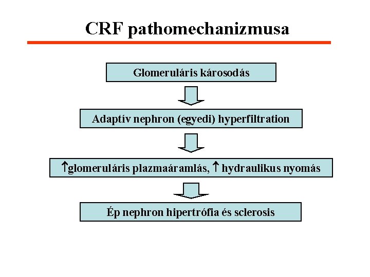 CRF pathomechanizmusa Glomeruláris károsodás Adaptív nephron (egyedi) hyperfiltration glomeruláris plazmaáramlás, hydraulikus nyomás Ép nephron
