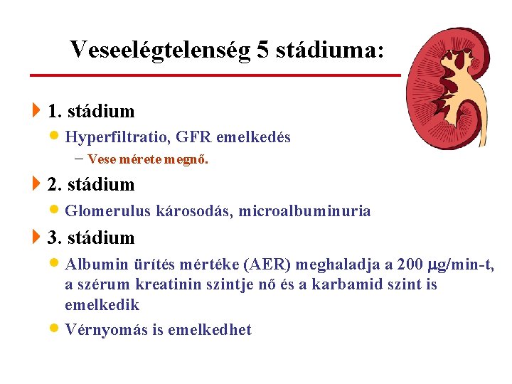 Veseelégtelenség 5 stádiuma: 41. stádium · Hyperfiltratio, GFR emelkedés - Vese mérete megnő. 42.