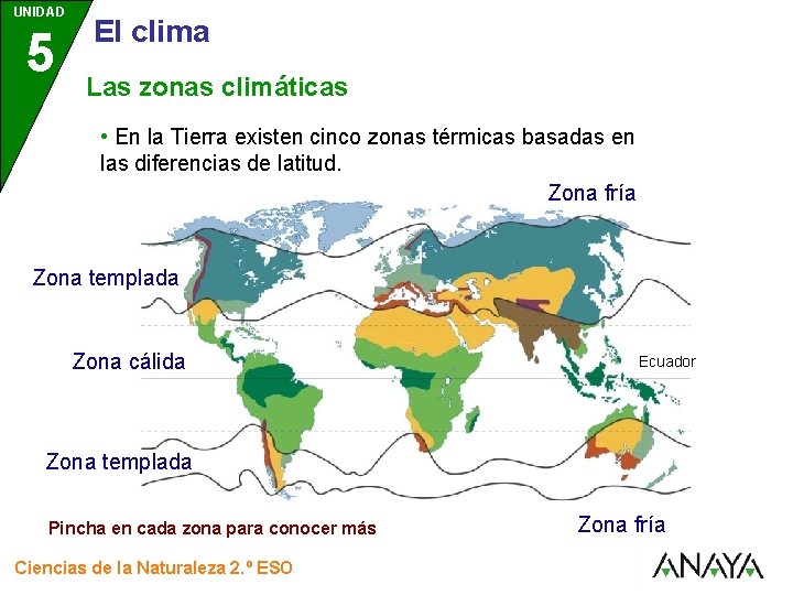 UNIDAD 5 3 El clima Las zonas climáticas • En la Tierra existen cinco