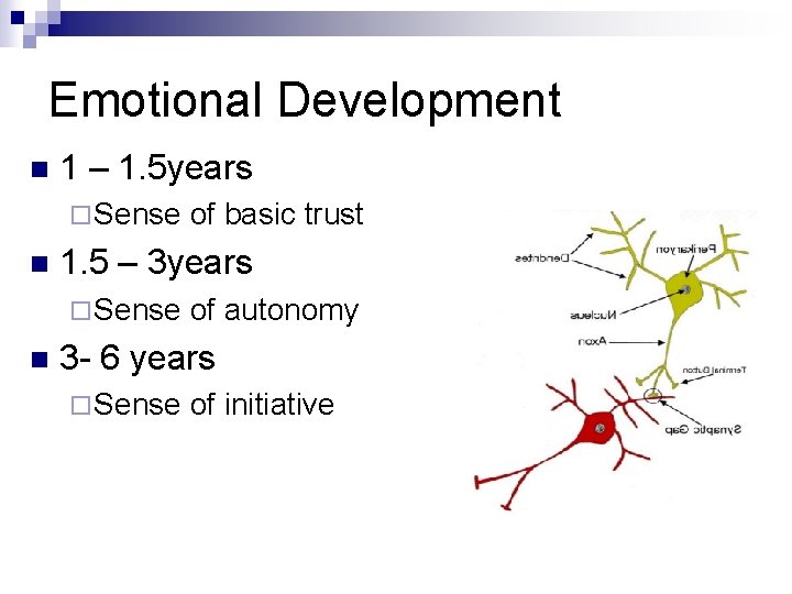 Emotional Development n 1 – 1. 5 years ¨ Sense of basic trust n Emotional Development n 1 – 1. 5 years ¨ Sense of basic trust n