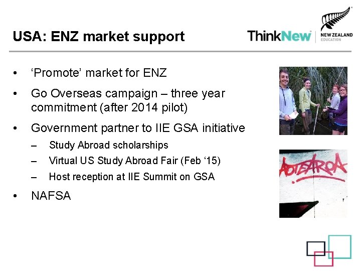 USA: ENZ market support • ‘Promote’ market for ENZ • Go Overseas campaign –