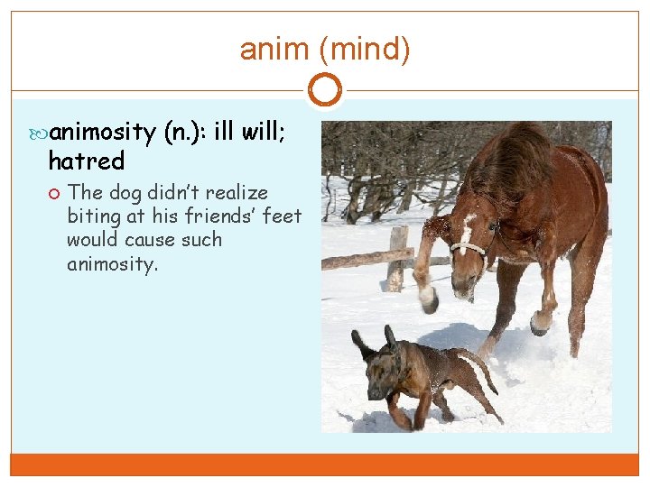 anim (mind) animosity (n. ): ill will; hatred The dog didn’t realize biting at