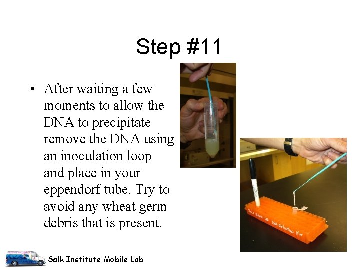 Step #11 • After waiting a few moments to allow the DNA to precipitate Step #11 • After waiting a few moments to allow the DNA to precipitate