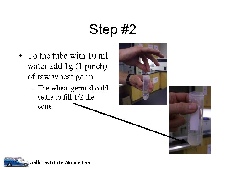 Step #2 • To the tube with 10 ml water add 1 g (1 Step #2 • To the tube with 10 ml water add 1 g (1