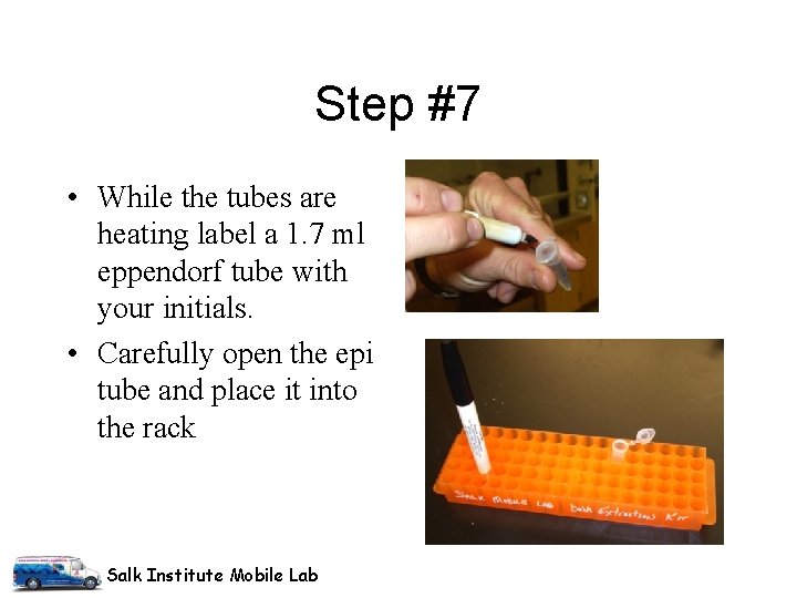 Step #7 • While the tubes are heating label a 1. 7 ml eppendorf Step #7 • While the tubes are heating label a 1. 7 ml eppendorf