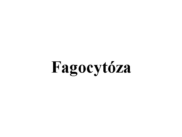 Fagocytóza 