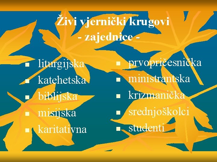 Živi vjernički krugovi - zajednice n n n liturgijska katehetska biblijska misijska karitativna n