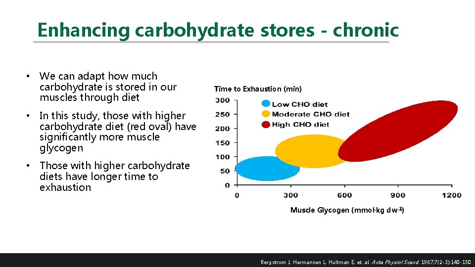 Enhancing carbohydrate stores - chronic • We can adapt how much carbohydrate is stored