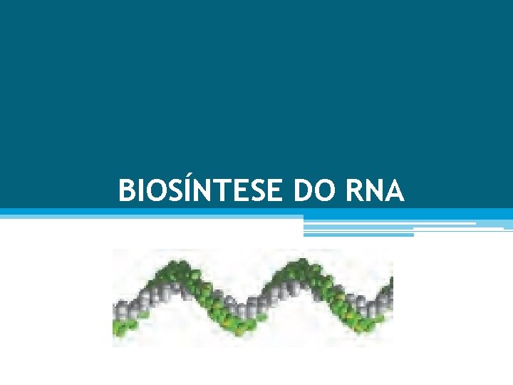 BIOSÍNTESE DO RNA 