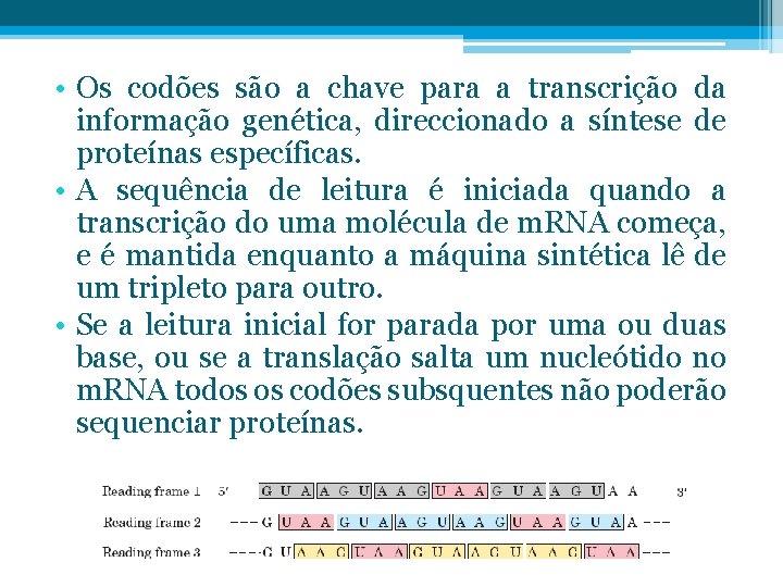  • Os codões são a chave para a transcrição da informação genética, direccionado