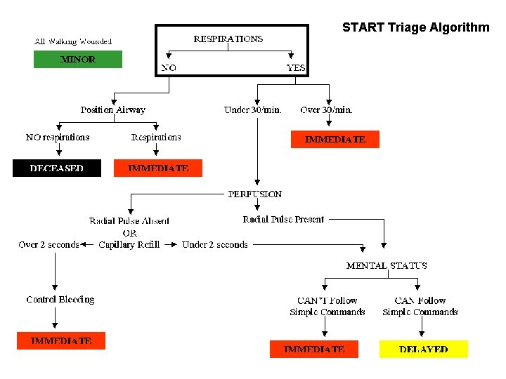 START Triage Algorithm 