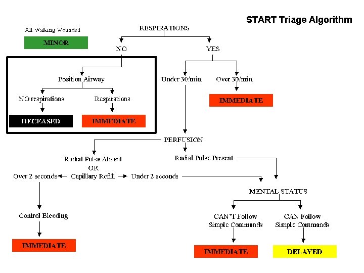 START Triage Algorithm 