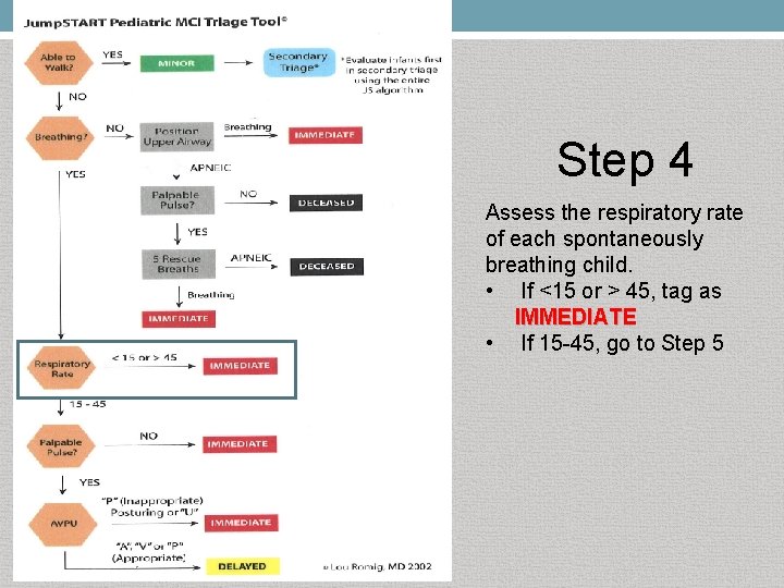 Step 4 Assess the respiratory rate of each spontaneously breathing child. • If <15