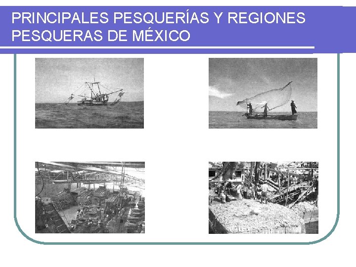 PRINCIPALES PESQUERÍAS Y REGIONES PESQUERAS DE MÉXICO 