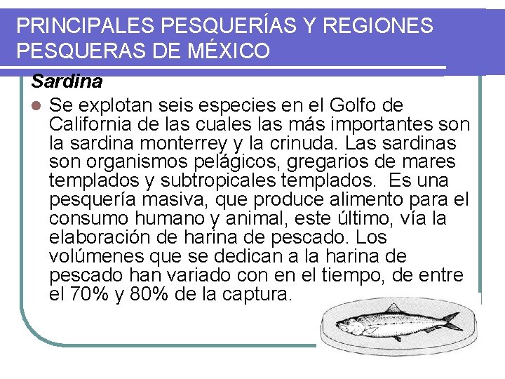 PRINCIPALES PESQUERÍAS Y REGIONES PESQUERAS DE MÉXICO Sardina l Se explotan seis especies en