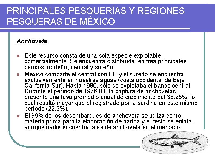 PRINCIPALES PESQUERÍAS Y REGIONES PESQUERAS DE MÉXICO Anchoveta. Este recurso consta de una sola