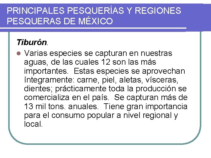 PRINCIPALES PESQUERÍAS Y REGIONES PESQUERAS DE MÉXICO Tiburón. l Varias especies se capturan en