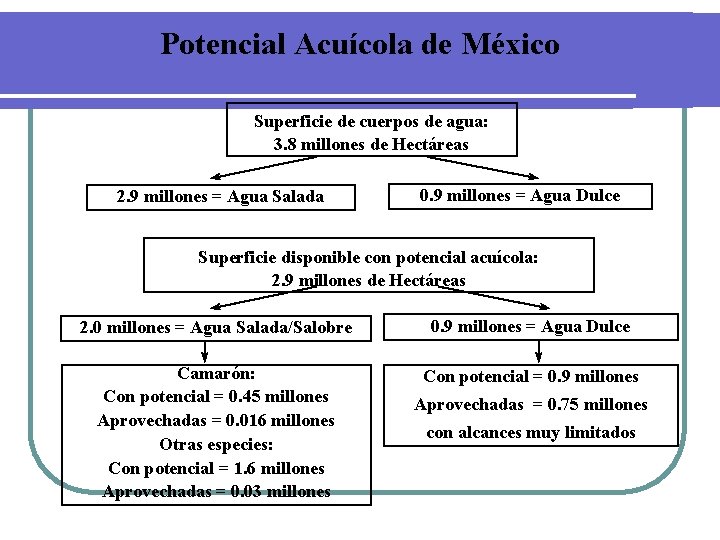 Potencial Acuícola de México Superficie de cuerpos de agua: 3. 8 millones de Hectáreas