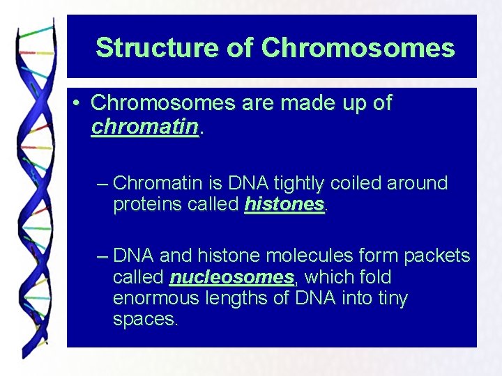 Structure of Chromosomes • Chromosomes are made up of chromatin. – Chromatin is DNA