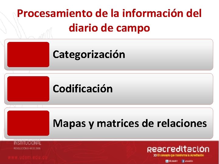 Procesamiento de la información del diario de campo Categorización Codificación Mapas y matrices de