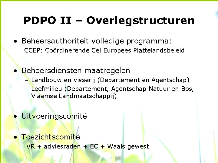 PDPO II – Overlegstructuren • Beheersauthoriteit volledige programma: CCEP: Coördinerende Cel Europees Plattelandsbeleid •