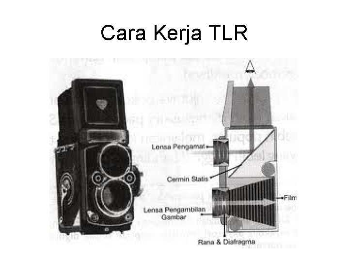 Cara Kerja TLR 