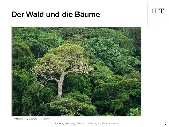 Der Wald und die Bäume © Marianne Th, Kaarst, fotocommunity. de Fachtag Sozialpsychiatrie und
