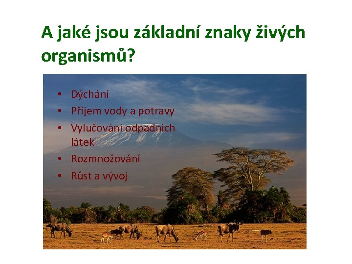 A jaké jsou základní znaky živých organismů? • Dýchání • Příjem vody a potravy